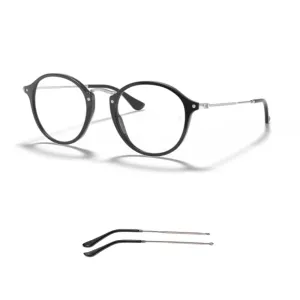 Ray-Ban 2447V Compatible Arms – Temples