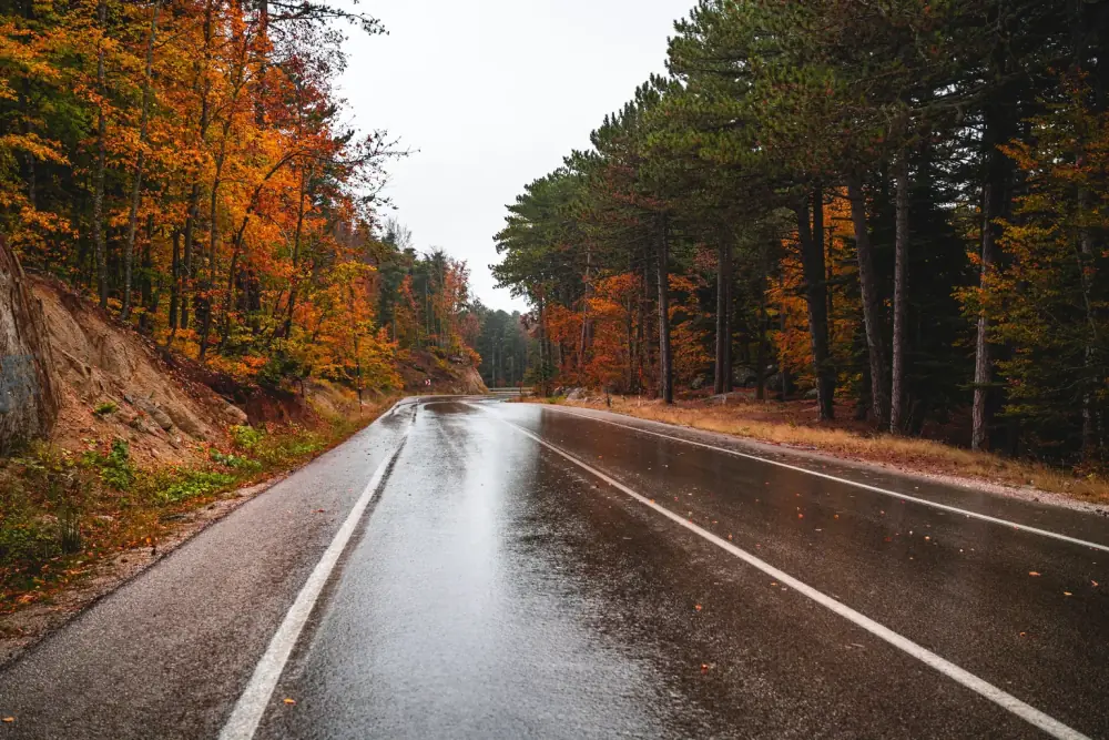 Wet road with strong glare that remains when wearing a non-polarized lens