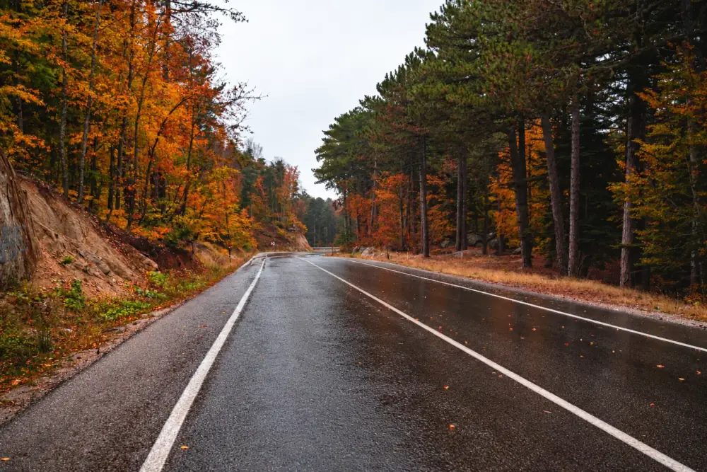 Wet road with glare off the asphalt reduced by a polarization simulation