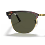 W0366 - Tortoise on gold