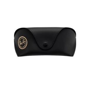 Ray-Ban Big Case