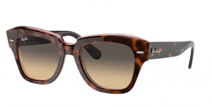 Ray-Ban RB2186 STATE STREET, colour 1324BG · Havana on clear pink