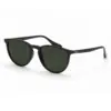 Compatible Ray-Ban 4171 Erika Replacement Lenses