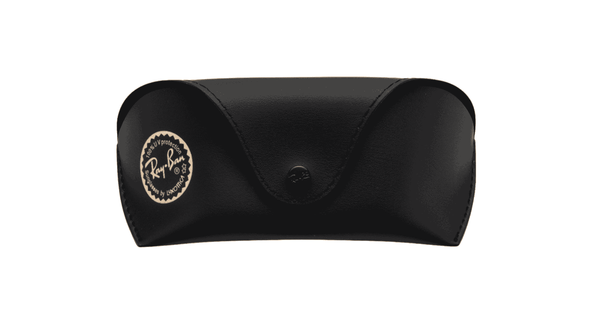 Ray-Ban case for large models
