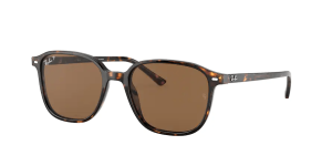 Ray-Ban RB2193 LEONARD, colour 902/57 · Tortoise