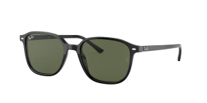 Ray-Ban RB2193 LEONARD, colour 901/31 · Black