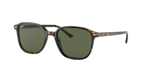 Ray-Ban RB2193 LEONARD, colour 902/31 tortoise