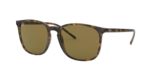 Ray-Ban RB4387, colour 710/73 · Havana light