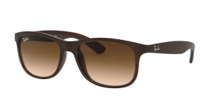 Ray-Ban RB4202 ANDY, colour 607313 brown matte on brown