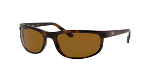 Ray-Ban RB2027 PREDATOR 2, colour 650833 havana dark