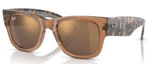 Ray-Ban 0840S MEGA WAYFARER, colour 663693 · Clear brown