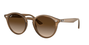 Ray-Ban 2180, colour 616613 · Turtledove