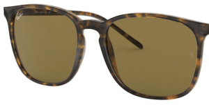 Original lenses Ray-Ban RB4387, colour 73 · Brown · plastic