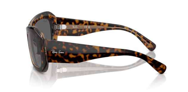 1292-havana-on-transparent-brown