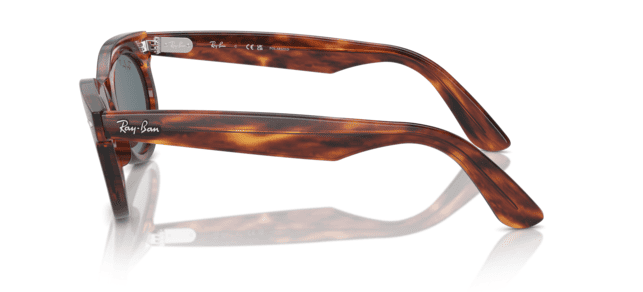 954-striped-havana