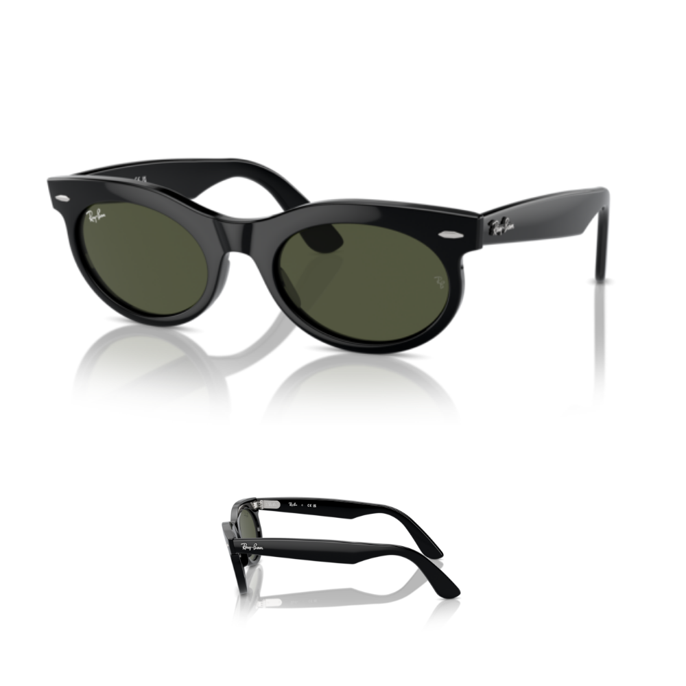 Original Ray-Ban 2242 WAYFARER OVAL Arms-Temples