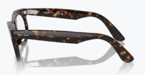 Original Ray-Ban RB2242V Wayfarer Oval arms, colour 2012 · Havana dark