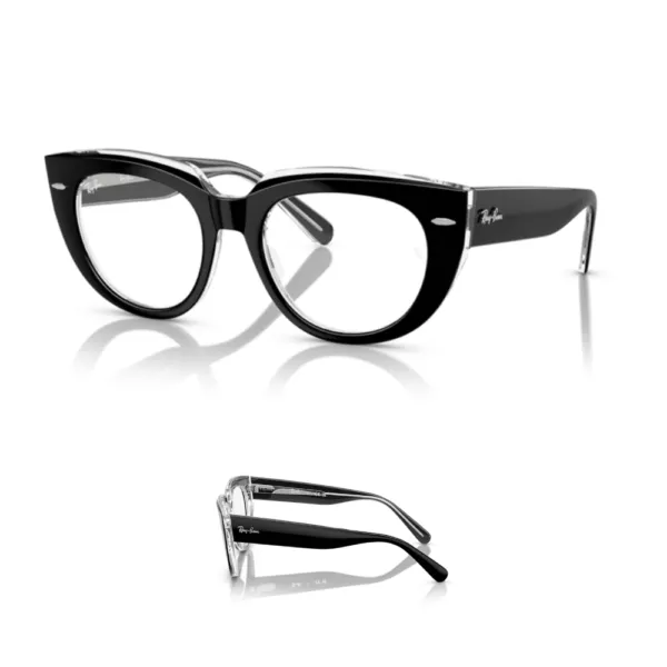 Ray-Ban 5586 Replacement Arms