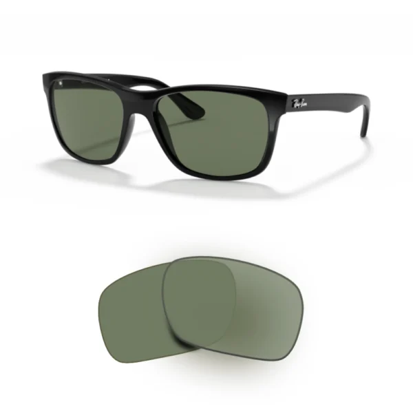 Compatible Ray-Ban 4181 Replacement Lenses