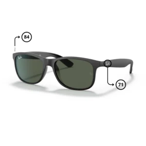 Ray-Ban 4202 Replacement Parts