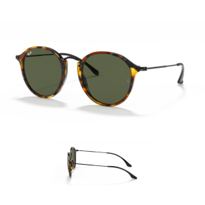 Ray-Ban 2447 Replacement Arms-Temples
