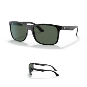 Ray-Ban 4232 Replacement Arms-Temples