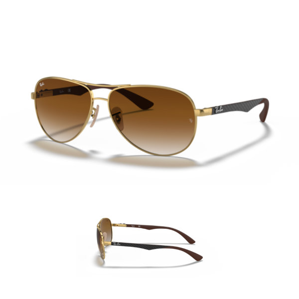 Ray-Ban 8313 Replacement Arms-Temples