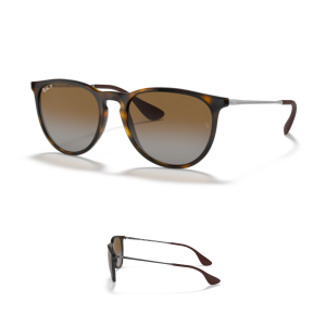 Ray-Ban 4171 Erika Replacement Arms-Temples