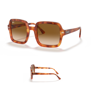 Ray-Ban 2188 Original Replacement Arms-Temples