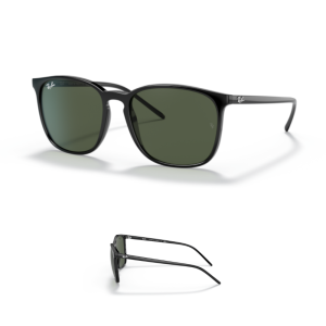 Ray-Ban 4387 Arms-Temples
