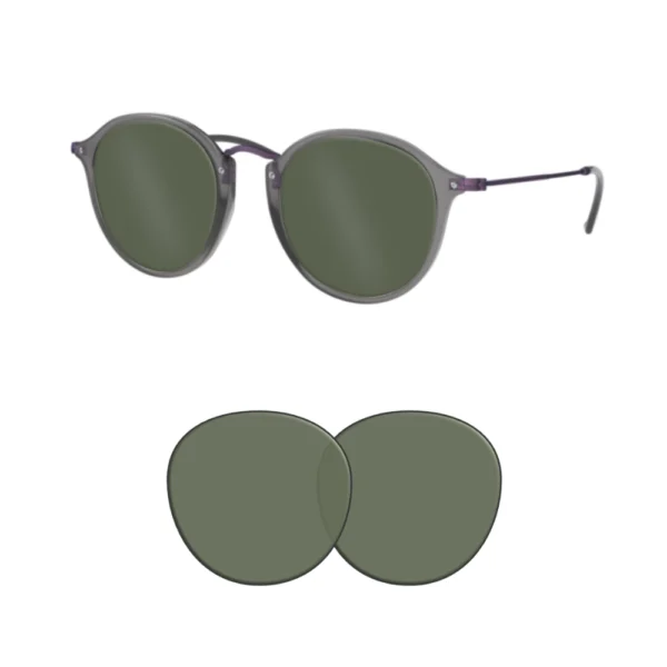 Compatible Ray-Ban 2447N Replacement Lenses