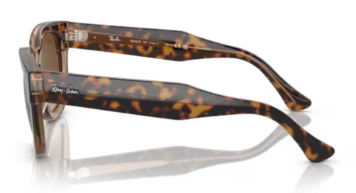 1292-havana-on-transparent-brown