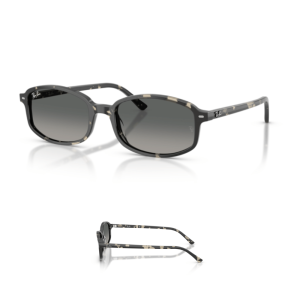 Original Ray-Ban 2232 Replacement Arms