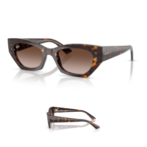 Original Ray-Ban 4430 ZENA Replacement Arms