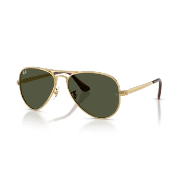 Ray-Ban 3925 AVIATOR MAX