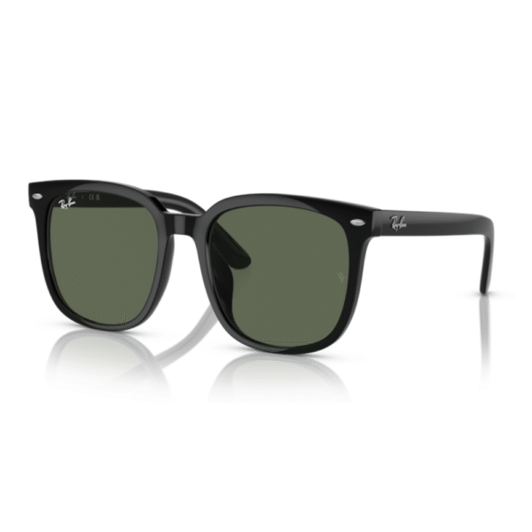 Ray-Ban 4401D