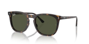 Ray-Ban 2210, colour 902/31 · Havana
