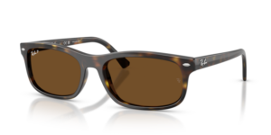 Ray-Ban 2224, colour 710/57 · Havana