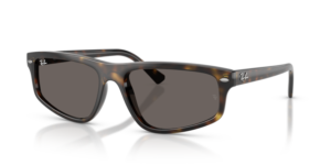 Ray-Ban 2225, colour 710/B1 · Havana
