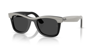 Ray-Ban 2240 WAYFARER, colour 144248 · Gray on black