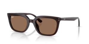 Ray-Ban 4439D, colour 623173 · Opal brown