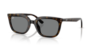 Ray-Ban 4439D, colour 710/87 · Havana