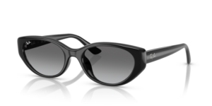 Ray-Ban 4457D, colour 667711 · Black