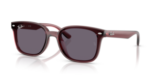 Ray-Ban 4461D, colour 659373 · Clear brown dark