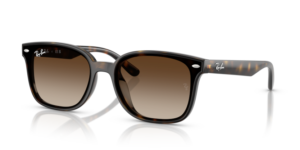 Ray-Ban 4461D, colour 710/13 · Havana
