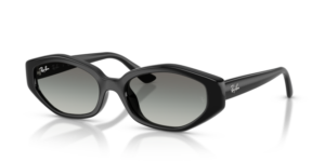 Ray-Ban 4473D, colour 667711 · Black