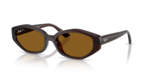 Ray-Ban 4473D, colour 714/83 · Brown dark