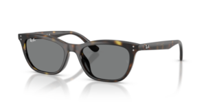 Ray-Ban 4474D, colour 710/87 · Havana
