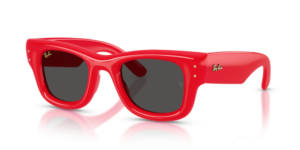 Ray-Ban 4940 - WAYFARER PUFFER, colour 683187 · Red