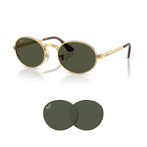 Ray-Ban 3931 Replacement Lenses